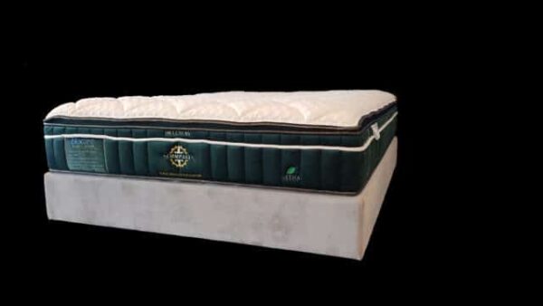 Queen Compass Mattress by GETHA available online and in-store at The Back and Neck Bed Shop