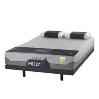 Wisteria Medium Mattress by MLily available online and in-store at The Back and Neck Bed Shop