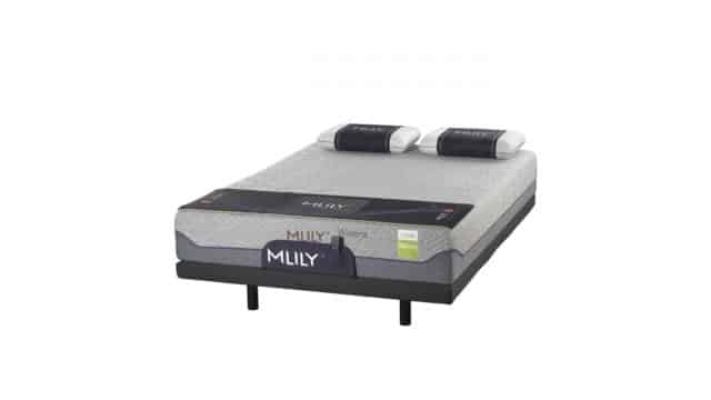 Wisteria Medium Mattress by MLily available online and in-store at The Back and Neck Bed Shop