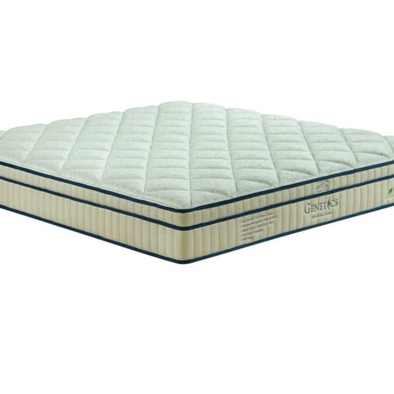 Buy 100 Natural Latex Mattresses Mattresses Perth Back and Neck
