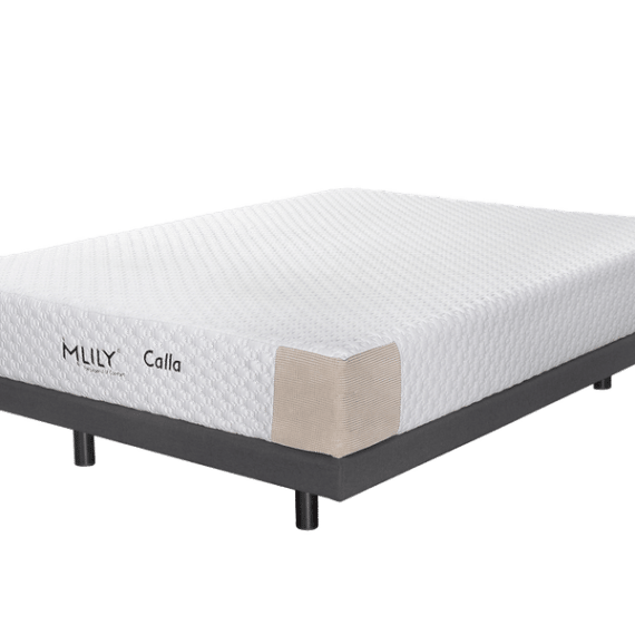 Shop Mattresses in Perth Back & Neck Bed Shop