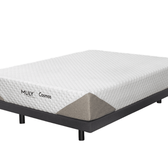 Shop Mattresses in Perth Back & Neck Bed Shop